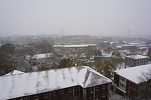 雪景