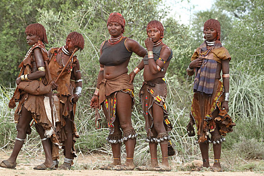 哈马尔,部落,奥莫山谷,埃塞俄比亚