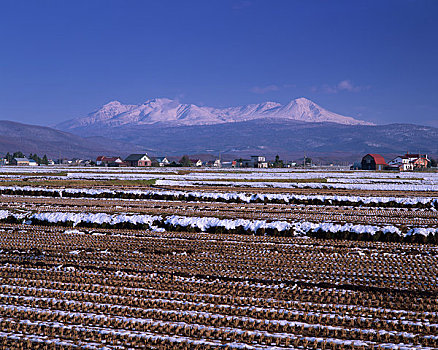 山,稻田,剩余,第一,雪