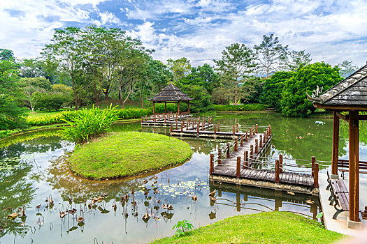 中科院,热带植物园