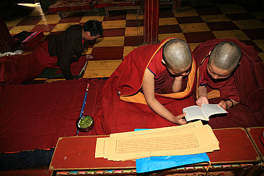 西藏米穷日寺的二个尼姑在学习经文