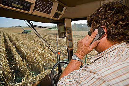 农业,农民,手机,出租车,联合收割机,收获,谷物,玉米,靠近,北国,明尼苏达,美国