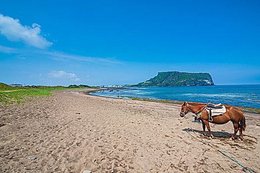 马,沙滩,日出,顶峰,世界遗产,济州岛,岛屿,韩国