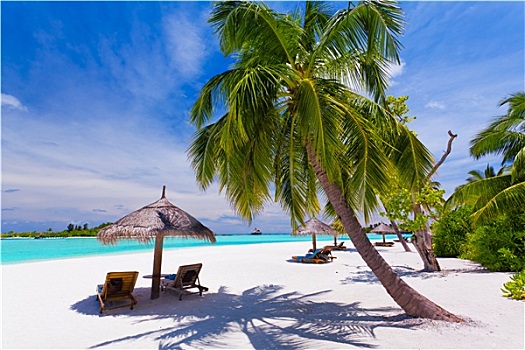 折叠躺椅,棕榈树,热带沙滩