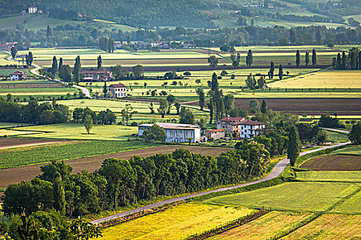 俯视,家,农田,托斯卡纳,意大利