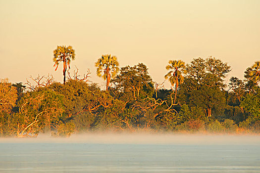 黎明,赞比西河,赞比亚