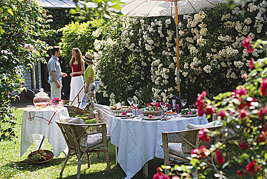 花园桌,聚会,正面,白色,玫瑰