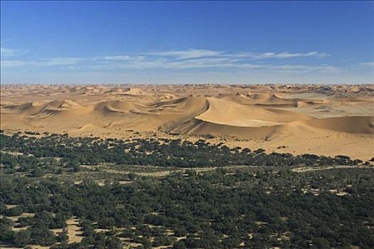 沙丘,纳米布沙漠,河,纳米比亚,非洲