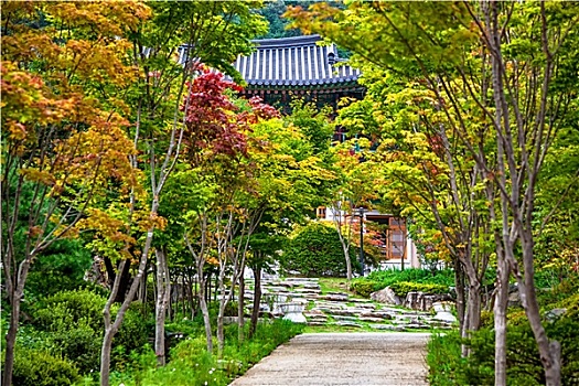 小路,公园,老,庙宇,韩国