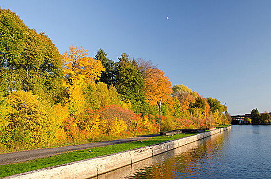 纽约,运河,秋天,树,月亮