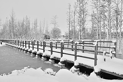 雪景