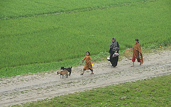 村民,家,达卡,二月,2008年