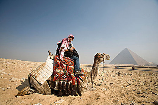 男青年,沙漠,骆驼,金字塔,背景,开罗,埃及,非洲