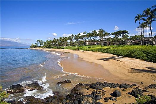 夏威夷,毛伊岛,漂亮,海滩