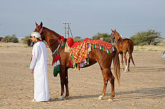 阿曼苏丹国,区域,阿拉伯,马,装饰,游行