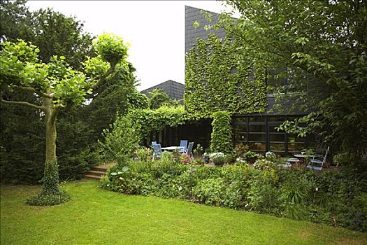 后院,花园,内庭,德国