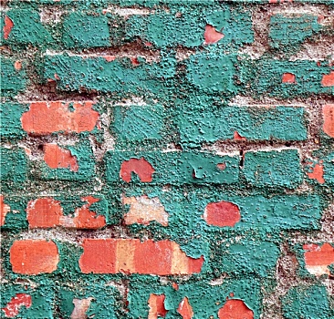砖墙,娇嫩,绿色,涂绘