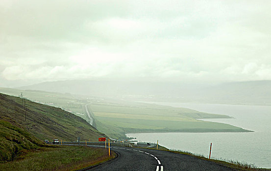 雾,道路,冰岛,风景