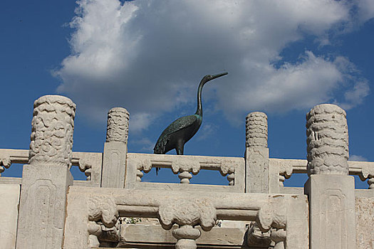 北京故宫的铜鹤