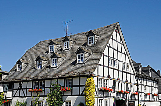 屋顶,窗户,半木结构房屋,乡村,藻厄兰,区域,北莱茵-威斯特伐利亚,德国,欧洲