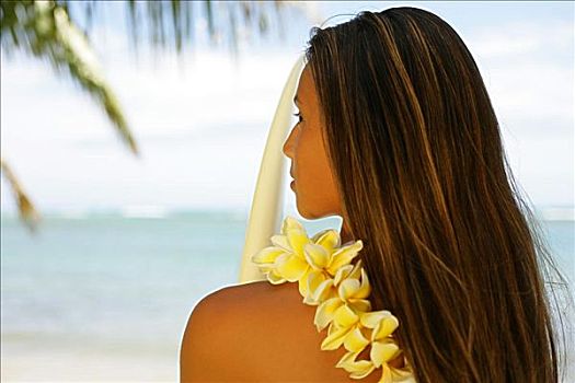 夏威夷,肖像,青少年,冲浪,女孩,穿,黄色,鸡蛋花,花环,拿着,冲浪板