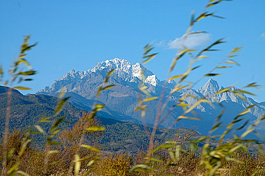 美景,长,掸邦,绿色,龙,雪,山,风景,丽江,城市,云南,中国,十一月,2006年