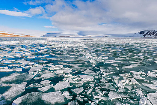 湾,浮冰,图案,陆地,斯瓦尔巴群岛,挪威,欧洲