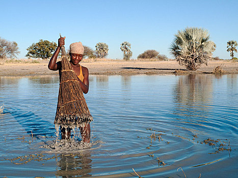 女孩,捕鱼,浅,水塘,扇形棕榈,手掌,后面,区域,纳米比亚,非洲