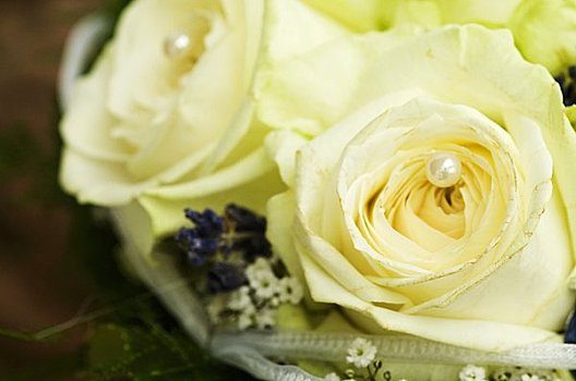 白色,玫瑰,新娘手花