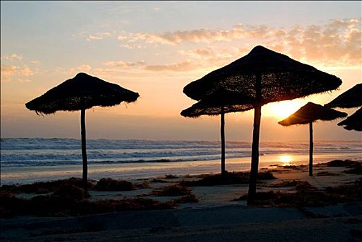 沙滩伞,日出,海滩,靠近,突尼斯,剪影