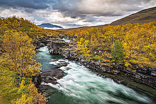 峡谷,秋天,河,国家公园,北博滕省,拉普兰,瑞典,欧洲