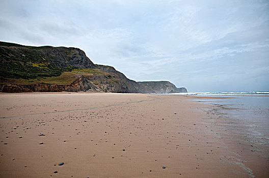 野外,海岸