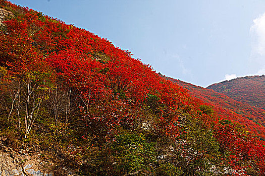 陕西凤县秦岭