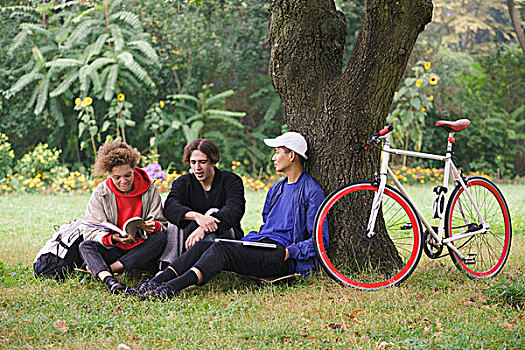 朋友,放松,仰视,树,自行车,草场,公园