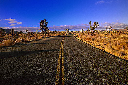 公路,沙漠,莫哈维沙漠,加利福尼亚,美国