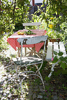 桌子,椅子,花园