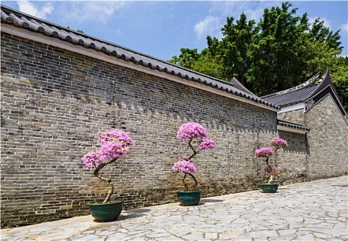传统,中式花园