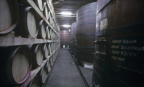 木桶,酒窖,智利