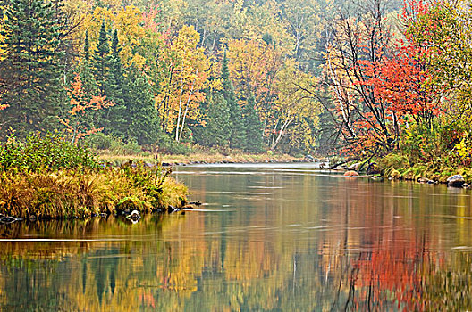 秋天,反射,连通,溪流,安大略省,加拿大