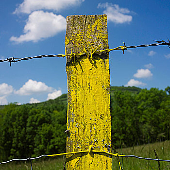 黄色,栅栏柱