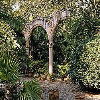 古典,遗址,特征,院落,棕榈树