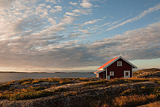 红色,木屋,海岸,瑞典