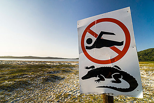 警告标识,鳄鱼,游泳,禁止,岸边,湿地,公园,湖,大象,海岸,南非,非洲