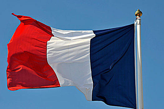 法国国旗,摆动,风,蓝天背景