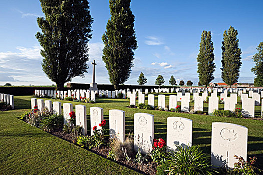 第一次世界大战,英军,墓地,白杨