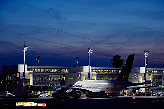 汉莎航空公司,空中客车,推,背影,卡车,正面,航站楼,黃昏,慕尼黑,机场,上巴伐利亚,巴伐利亚,德国,欧洲