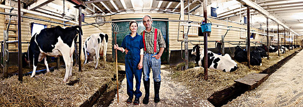 肖像,农民,安大略省,加拿大