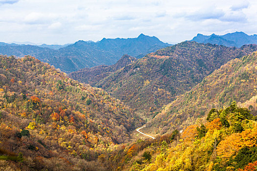 陕西汉中留坝太子岭秋天红叶