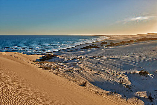 沙丘,海滩,圈,自然保护区,西海角,南非,非洲
