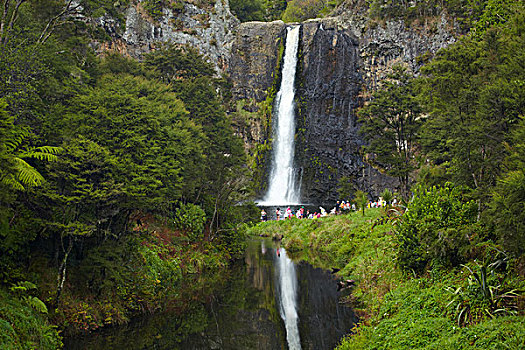 瀑布,山脉,奥克兰,北岛,新西兰